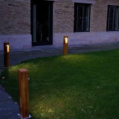Trädgård   Bra   Utseende   Ljus